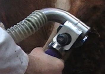 versoCLIP